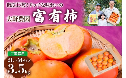 【 先行予約／令和8年産／11月中旬～発送予定】《柿の王様》富有柿ご家庭用2L～Mサイズ (3.5kg)｜大野農園の富有柿 柿 フルーツ 果物 デザート 秋の果物 旬　[糖度が高く リッチな味わいの富有柿] [0630]