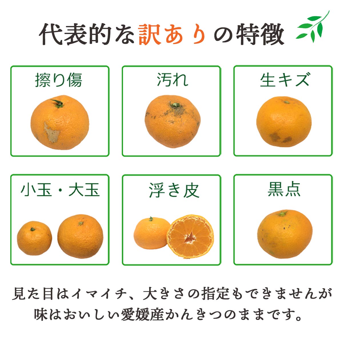 【先行受付】【ご家庭用】甘平 4kg 愛媛県 八幡浜産 西宇和地区 扁平で濃い味 新食感【E25-304】【1713054】 YWTAP245