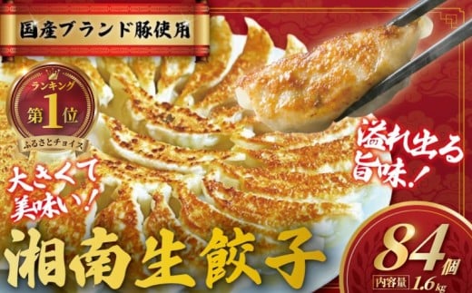 餃子 ぎょうざ 84個 (42個 × 2 パック) 肉汁たっぷり 大きい 国産 ブランド豚 ルイビ豚 小分け 豚肉 野菜 肉 湘南餃子 湘南ぎょうざ 焼き餃子 gyouza ギョーザ 冷凍餃子 生餃子 冷凍 ご飯 おかず 冷凍食品 中華 おつまみ 簡単調理 時短 簡易包装 手作り餃子 サノフーズ 神奈川 湘南 藤沢