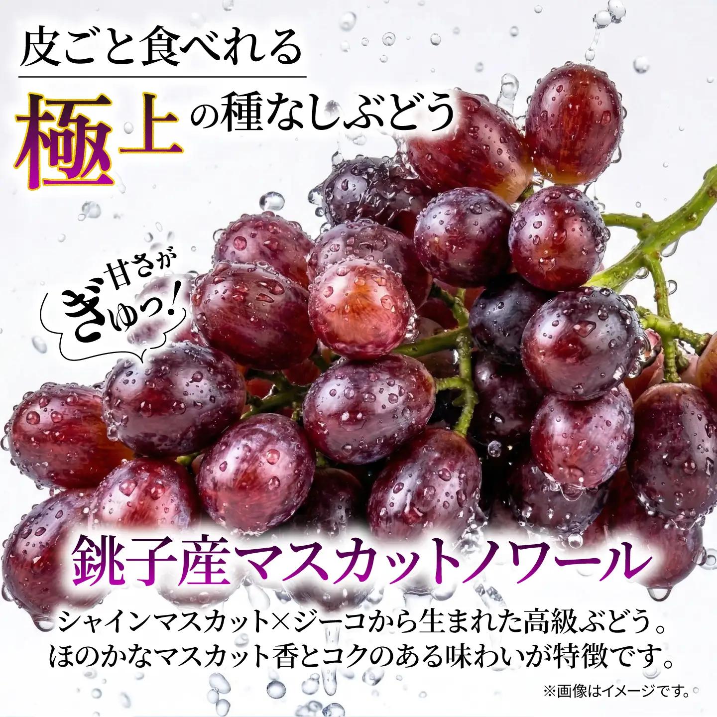 訳あり マスカットノワール  2房 900g 以上 数量限定 種なし