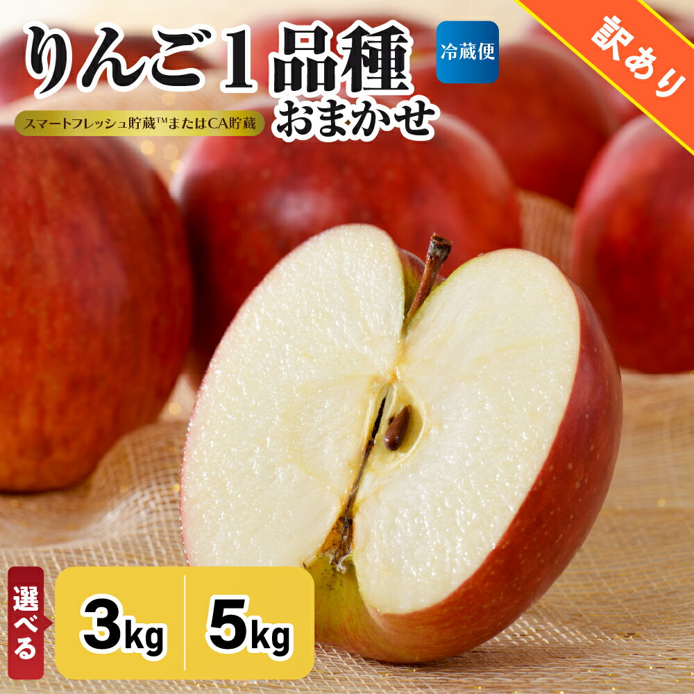【ふるさと納税】【選べる配送時期】【訳あり】りんご 約3kg 5kg 青森産 【おまかせ1品種】【スマートフレッシュ貯蔵またはCA貯蔵・クール便】