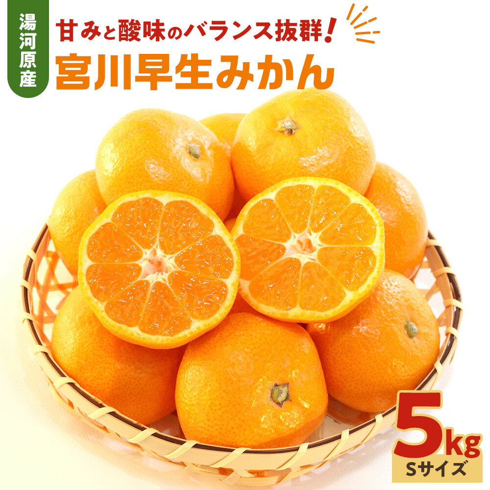 【ふるさと納税】甘みと酸味のバランス抜群・宮川早生みかん　5kg(Sサイズ) 　2026年11月中旬～下旬頃に発送予定| 湯河原町 Sサイズ 5kg 宮川早生みかん 果物 旬 みかん フレッシュ