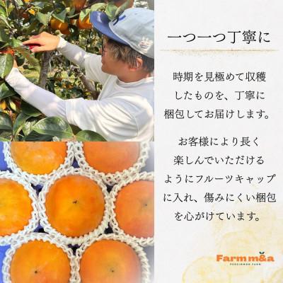 ふるさと納税 大野町 甘くておいしい岐阜の柿 【富有柿】 2L×9個 秀品 岐阜県 大野町(2025年11月下旬〜発送) |  | 02