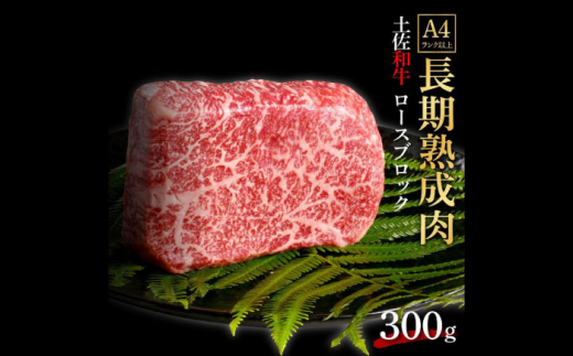 エイジング工法 熟成肉 土佐和牛 特選ロース ブロック 約300g 冷凍 【株式会社LATERAL】 [ATAY034]