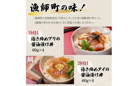 【5回定期便】土佐の海鮮丼セット（ブリ・タイ・カンパチ・マグロ・カツオ）各4Pずつ 漬け丼の素 鰤 ぶり 鯛 たい 鮪 まぐろ 鰹 かつお かんぱち 新鮮 魚 おかず【企業組合　宇佐もん工房】 [BQ