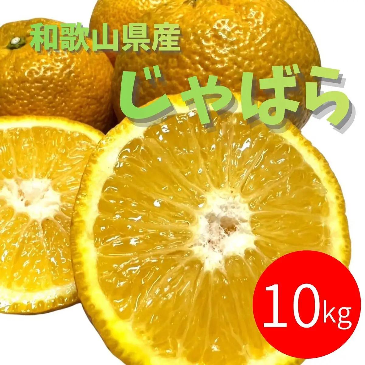じゃばら 10kg (56~88玉)