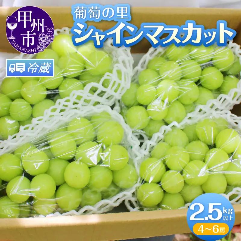葡萄の里 シャインマスカット たっぷり大容量 2.5kg以上（4～6房）【2026年発送】（HK）C5-440 シャインマスカット フルーツ