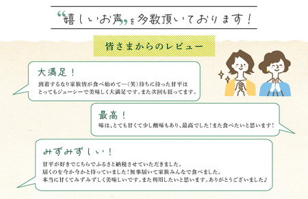 【先行予約！】ホリ田ヤ 甘平 サイズばら 2.5キロ [KB00820]　12月20日以降のお申込分の発送は翌年2月下旬以降の予定