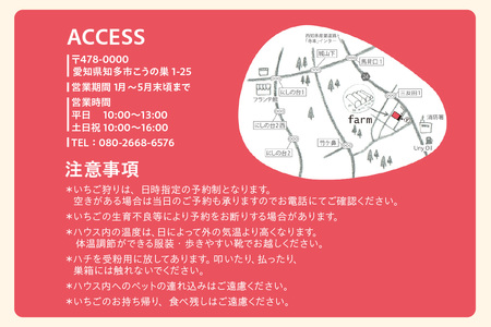 【2026年1月～実施】 いちご狩りチケット 幼児（3歳以上小学校入学前）1名様 苺 イチゴ 苺狩り レジャー 体験チケット お出かけ 愛知県 知多市