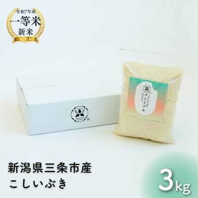 ふるさと納税 三条市 新潟県産こしいぶき 3kg 1等米 2025年産 三条市保内産 精米 白米 令和7年産 米 [はせが