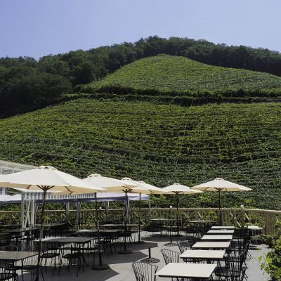 ふるさと納税 足利市 スパークリングワイン　北のぼ |  | 02