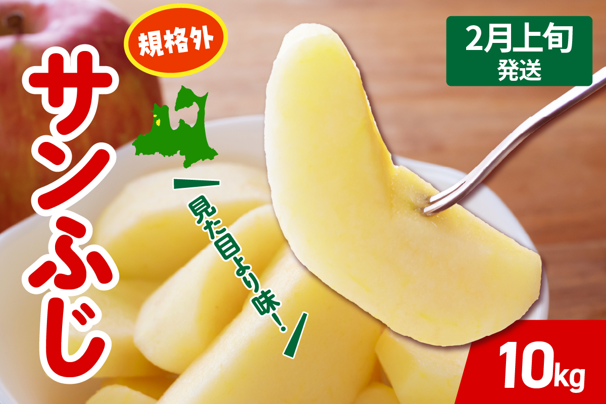 【2026年2月上旬発送】 りんご サンふじ 約 10kg 規格外 程度 青森 五所川原 不揃い サン ふじ りんご規格外