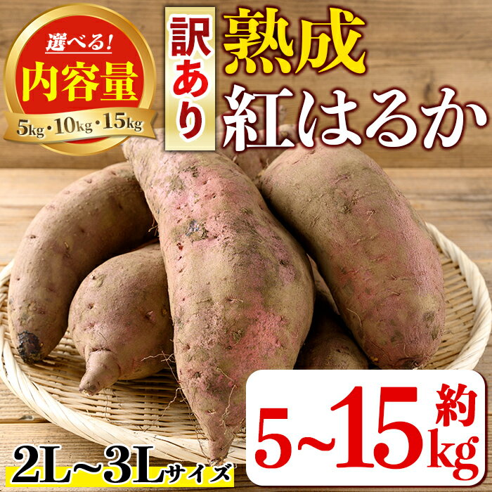 【ふるさと納税】＜内容量が選べる！＞《訳あり》熟成紅はるか(約5kg～15kg・2L〜3Lサイズ混合) 訳あり さつまいも 紅はるか 鹿児島 生芋 完熟 長期熟成 土付き べにはるか サツマイモ 焼き芋に 【いさ工房】