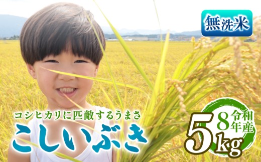先行予約 令和8年産 無洗米 こしいぶき 5kg 新潟限定 越後の新しい息吹 コシヒカリ の遺伝子を引き継ぐ 米 おこめ お米 ご飯 ごはん オニギリ お弁当 kome 送料無料 数量限定 農家直送 産地直送 国産 川瀬農園 四代目 悠助 新潟 新発田 kwsMKI001_202609