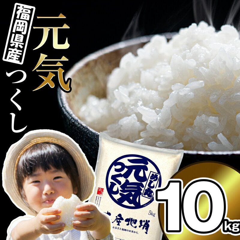 【ふるさと納税】【数量限定】〈令和6年産〉福岡県産米 「元気つくし」 10kg NP003-3【 福岡県 須恵町 】
