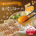 【ふるさと納税】21-1016．【定期便6回】濃厚でコクのある味わい！のびのび育った土佐ジローの自然卵40個（10個入り×4パック） 合計240個 ふるさと納税 卵 玉子 たまご 鶏卵 土佐ジローの卵 土佐ジロー 自然卵 新鮮おいしい 高知 高知県 四万十市 産地直送 送料無料