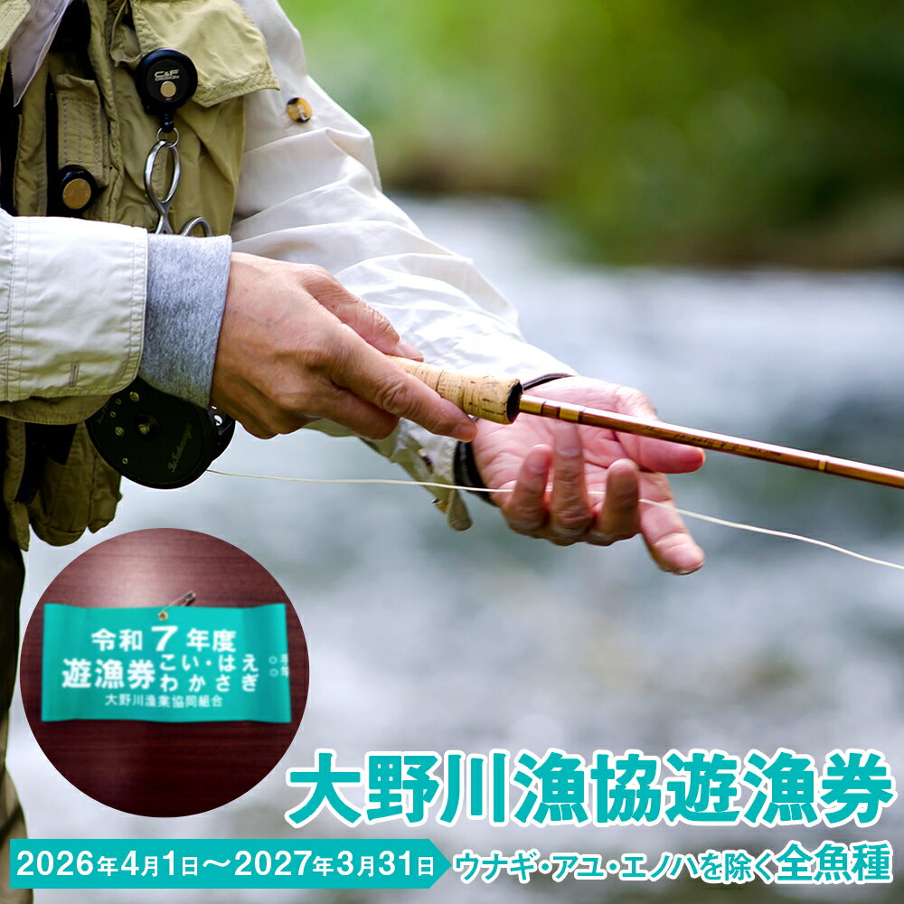 【ふるさと納税】大野川漁協遊漁券 ウナギ・アユ・エノハを除く全魚種 腕章 1セット 渓流釣り 大分県豊後大野市 一級河川 大野川 九州 送料無料 【有効期間：2027年3月31日まで】