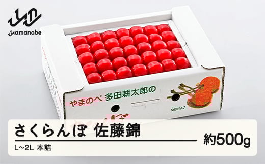 《先行予約》2025年 山形県産 佐藤錦 本詰め 約500g L~2L やまのべ多田耕太郎のさくらんぼ サクランボ F20A-042