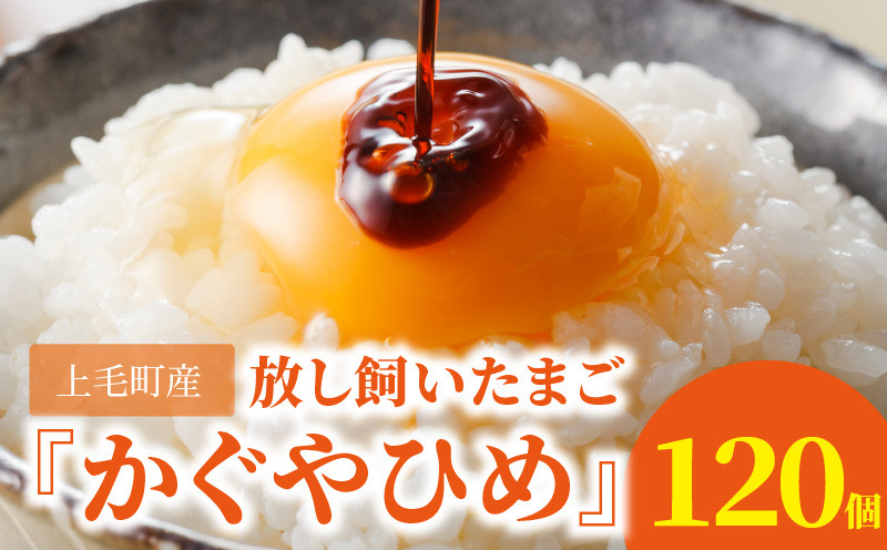 
                  放し飼いたまご『かぐやひめ』120個【福岡上毛町産】　C00701
                