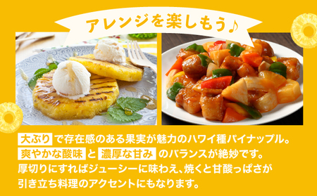 【2026年4月中旬発送】訳あり 石垣島産 ハワイ種パイナップル 約4kg（4～10個）KP-02 | ふるさと納税 パイナップル 産地直送 フルーツ 果物 パイン 石垣 沖縄 沖縄県石垣市 石垣島