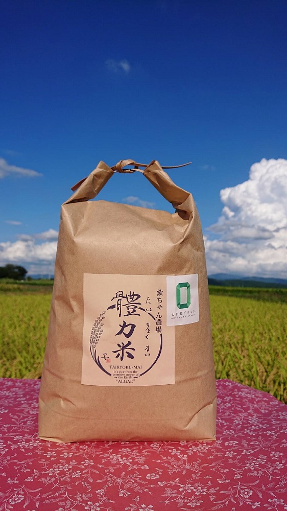 令和7年度産 體力米（たいりょくまい）コシヒカリ 白米 5kg ｜ 米 新米 ブランド米 栃木県 大田原市