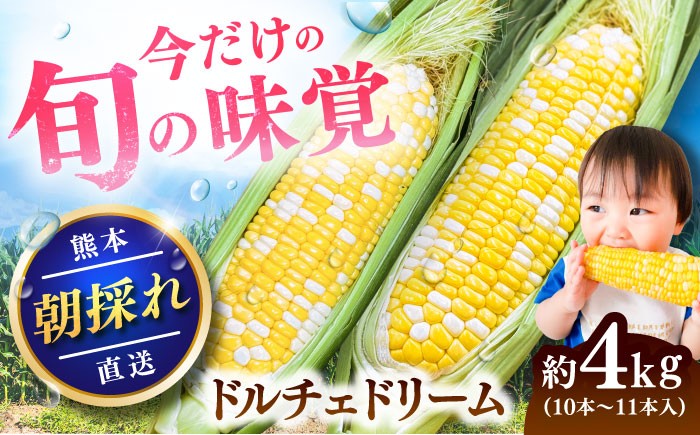 
                  【先行予約】【2027年5月下旬より順次発送】スイートコーン(ドルチェドリーム)約4kg / トウモロコシ 甘い スイートコーン とうもろこし 高糖度 ドルチェドリーム 菊陽とうもろこし 熊本とうもろこし 朝採り 朝採り 糖度 焼きとうもろこし 採れたて野菜 旬の野菜【なかむら農園】 [BHCJ002]
                