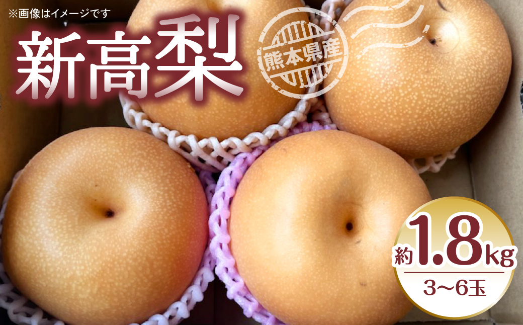 【先行予約】新高梨 約1.8kg（3~6玉） 梨 なし  新高【2025年9月上旬より順次発送】