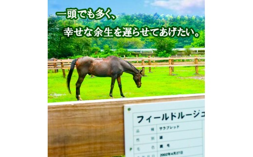 【返礼品なし】 競走馬 引退馬はどこへ？ 黒潮友馬会応援 【6千円コース】 【返礼品なし】6千円コース