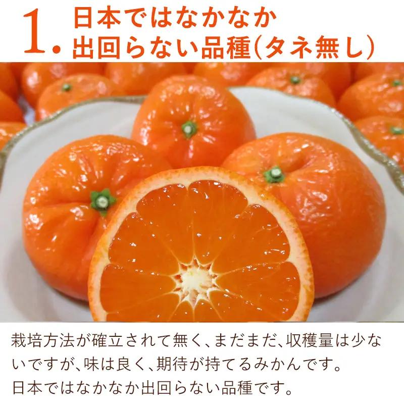 『先行予約』【令和9年2月中旬発送】マーコット（ハウス栽培）唐津産 5kg みかん ミカン 果物 フルーツ
