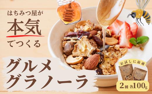 
グラノーラ 無添加 国産はちみつ使用【ノラノーラ ミケ&クロ】 ココナッツ・ショコラ 食べ比べセット(100g×2) A-MT-A05A
