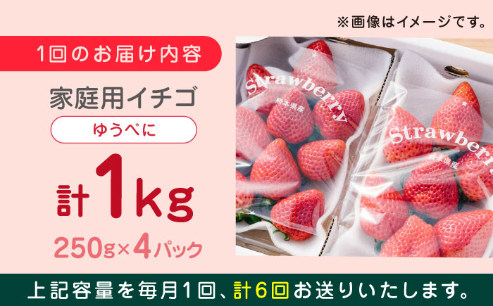 【先行予約】【全6回定期便】熊本県産 ゆうべに いちご セット 250g×4P 農園直送 産地直送 山都町産【なかはた農園】[YBI048]