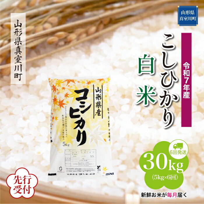 【ふるさと納税】 ※先行受付※ 令和7年産 真室川町厳選 コシヒカリ ［白米］ 30kg 定期便（5kg×6回お届け）