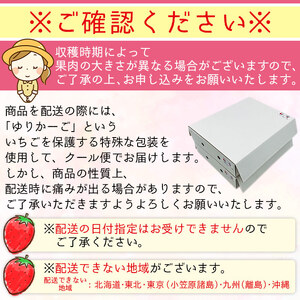 西予市宇和町産　谷口農園のいちご（紅い雫）２パックと紅マドンナジュースのセット