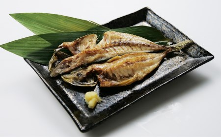 干物 減塩 4種 15枚セット 干物