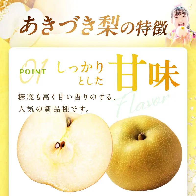 梨／あきづき【先行予約】あきづき梨 5kg（2026年9月中旬～発送）