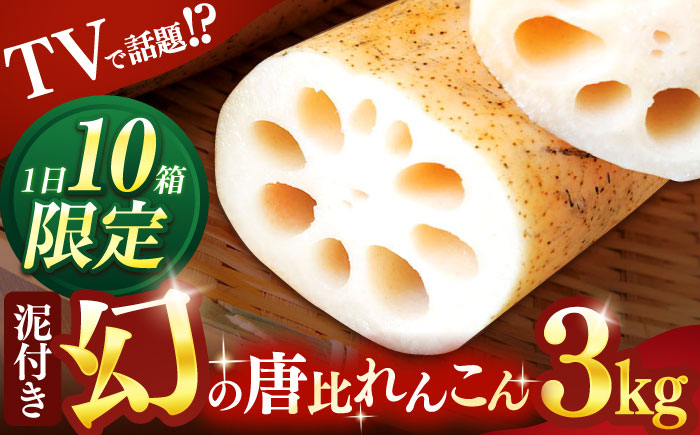 
            ＜先行予約＞幻の唐比れんこん 3kg / れんこん レンコン 蓮根 やさい 野菜 / 諫早市 / 農事組合法人スマイル・ライフ [AHCA003]
          