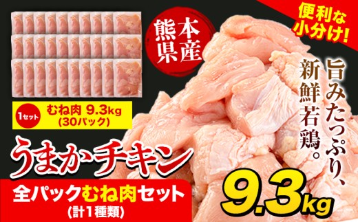 うまかチキン 全パックむね肉セット(計1種類) 合計9.3kg《30日以内に出荷予定(土日祝除く)》ふるさと納税 肉 とり とり肉 とりむね 小分けバック 鳥 冷凍 定期 大容量 数量限定 簡易包装 鶏肉