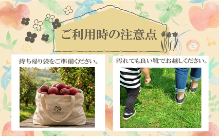 りんご狩り体験チケット サンつがる｜りんご 林檎 SKK