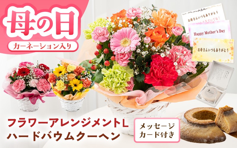 
                  【母の日遅れてごめんね】カーネーション入り フラワーアレンジメントL ＆ バウムクーヘン (バウムッシュ) ギフトセット 選べるカラー 【カラー：レッド・ピンク / イエロー・オレンジ / カラフル】 母の日 スイーツ セット お菓子 焼き菓子 お花 フラワー 花束 ギフト 生花 プレゼント 花束 花 お祝い フラワーギフト 贈り物 贈答 [B-20712] 
                