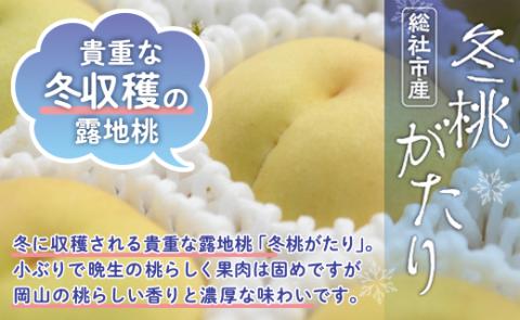 白桃「冬桃がたり」岡山県総社もも生産組合【2024年産先行予約】24-030-028