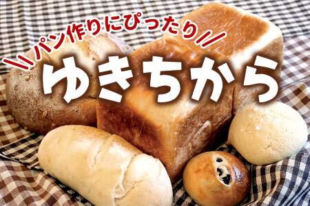 強力小麦粉 ゆきちから 2.5kg（500g×5袋） 岐阜県 東白川村産 小麦 国産 お取り寄せ 強力粉 小麦粉