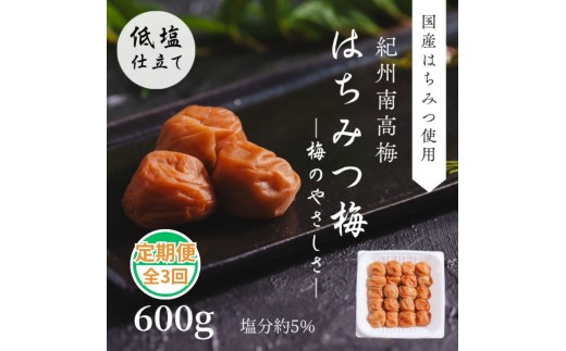 
                  紀州南高梅使用 梅のやさしさ はちみつ梅 600g 塩分約5％ 定期便 全3回 ｜ 和歌山県 みなべ町 梅干し 梅干 うめぼし はちみつ梅 うすしお 低塩 減塩 紀州南高梅 ギフト 贈り物 プレゼント 定期便 【ngao-tkb005】
                