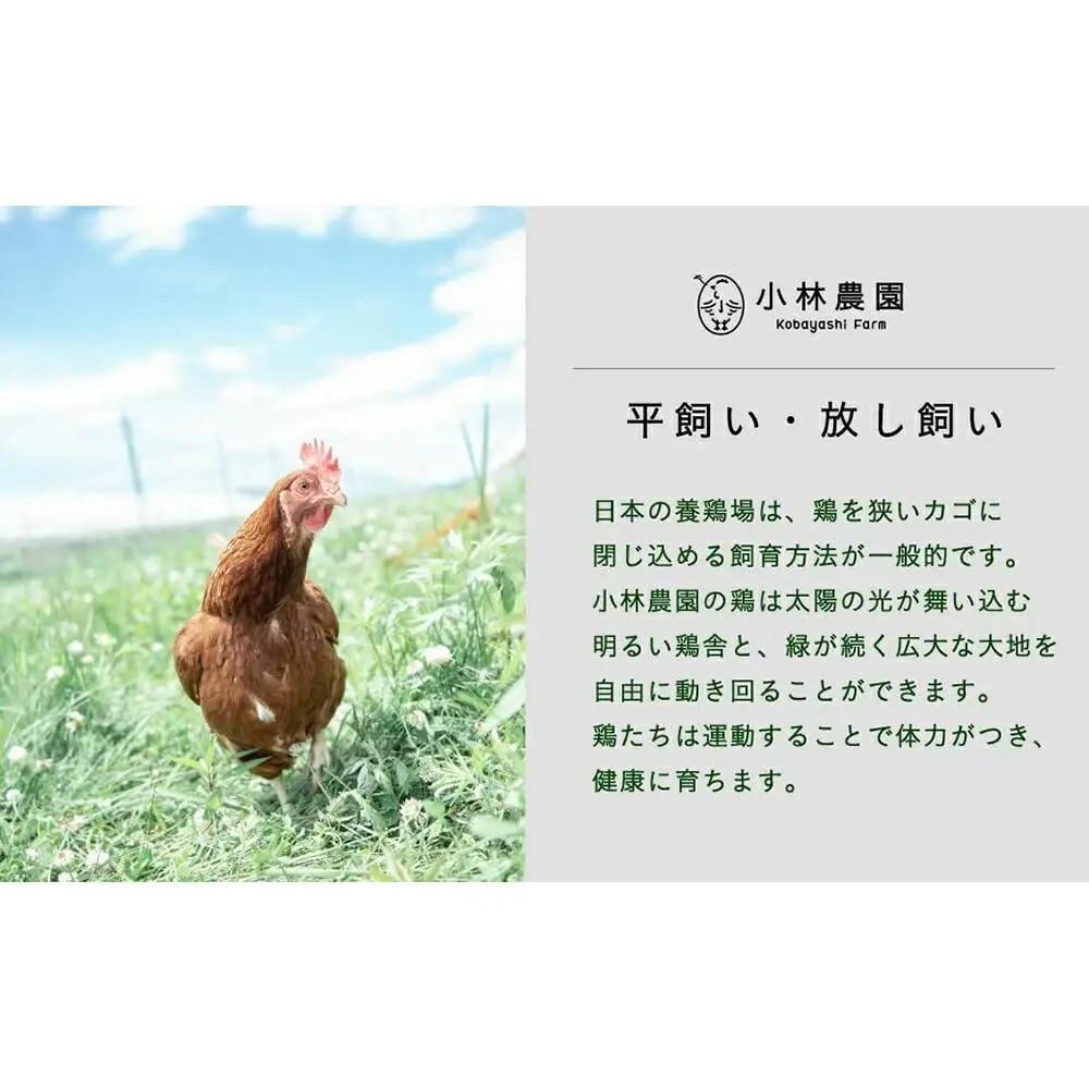 【全6回定期便】親鶏のスパイスカレー 5個（辛口）【テンアール株式会社】 カレー スパイス [AXAN087]