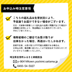 特選「吉見いちご」【やよいひめ】 