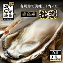 【ふるさと納税】鹿島産 牡蠣 2.5kg(殻付き)【加熱調理用】品種(スミノエ)B-559