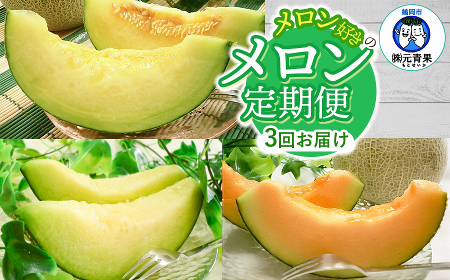 
【先行予約】令和7年産 メロン好きのメロン定期便 【3回お届け】 山形県鶴岡産　元青果

