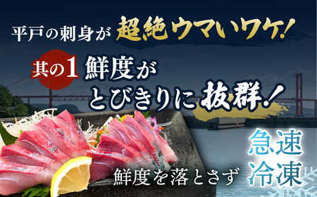 ＜6月発送＞刺身 3人前 約450g 詰め合わせ【百旬館】[KAK020]/ 長崎 平戸 魚介類 魚 刺身 ブロック ヒラス ひらす ブリ ぶり 鯛 タイ たい 急速冷凍 真空 パック