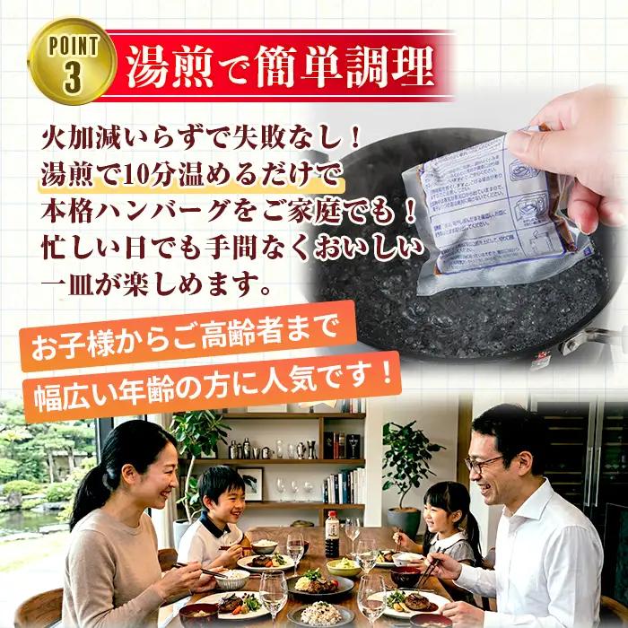 ＜訳あり・簡易包装＞博多和牛100％使用！ デミグラス ハンバーグ (計16個) 牛肉 和牛 博多和牛 牛 惣菜 おかず 冷凍 冷凍ハンバーグ 湯煎 温めるだけ レトルト 個包装 福岡 小分け 簡単調