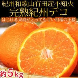 【2・4・6・8・10・12月 偶数月発送 全6回】和歌山産 旬のフルーツ お楽しみ 定期便 【魚鶴商店】【UT113】