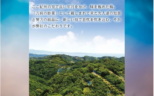 紀州南高梅 はちみつ梅干し 大粒 みつ大玉 塩分8％ 800g  ｜ 和歌山県産 みなべ町 紀州南高梅 梅干し 梅干 うめぼし はちみつ梅 大玉 【mryms001B】